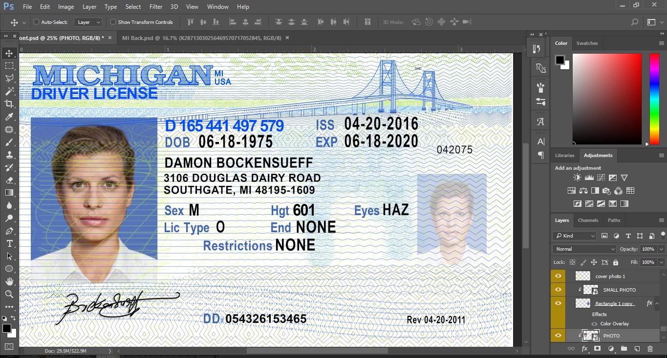 Free drivers license templates